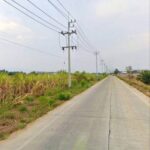 ขายที่ดินหนองไผ่แก้วชลบุรี ขายที่ดิน 124 ไร่