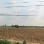 ขายที่ดินคลองกิ่วชลบุรี ขายที่ดิน 113-3-62 ไร่