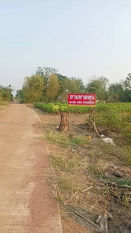 ขายที่ดินกาญจนบุรี ขายที่ด่านมะขามเตี้ย -ติดทางสาธารณะ 2 ด้าน