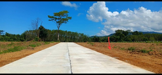 ขายที่ดินเปล่า ทำเลทอง ใกล้แหล่งชุมชน อ.ตะกั่วป่า จ.พังงา