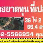ขายที่ดินเปล่าบ้านดุง..ที่ดินใกล้คำชะโนดถูกๆ..ที่ดินอุดรธานี