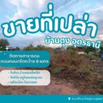 ขายที่ดินเปล่าบ้านดุงอุดรธานี ที่ดินนาคำอุดร