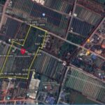 ขายที่เปล่าติดถนนดอนไก่ดี ที่เปล่ากระทุ่มแบน ผังเมืองสีเหลือง
