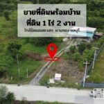 ขายที่ดิน พร้อมบ้าน 1 หลัง เนื้อที่ 1 ไร่ 2 งาน