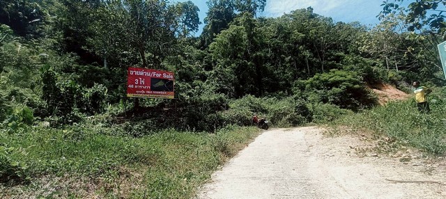 ขายที่ดินอำเภอกะทู้ ภูเก็ต… ที่ภูเก็ตวิวภูเขา ที่ดินใกล้น้ำตก