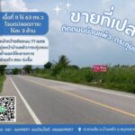 ที่ดินบ้านแพ้วกระทุ่มแบนติดถนนทางหลวงชนบทโฉนดปลอดภาระ