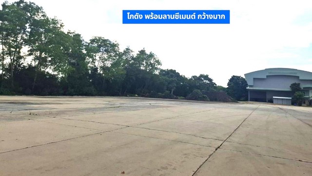 ขายโกดังขนาดใหญ่ 13-3-18ไร่พร้อมบ้าน& ออฟฟิต,ลานคอนกรีต อยุธยา