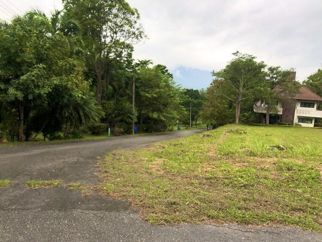 ขายที่ดิน 470 ตร.ว.ในสนามกอล์ฟเซอร์เจมส์คันทรีคลับ Forest Hill