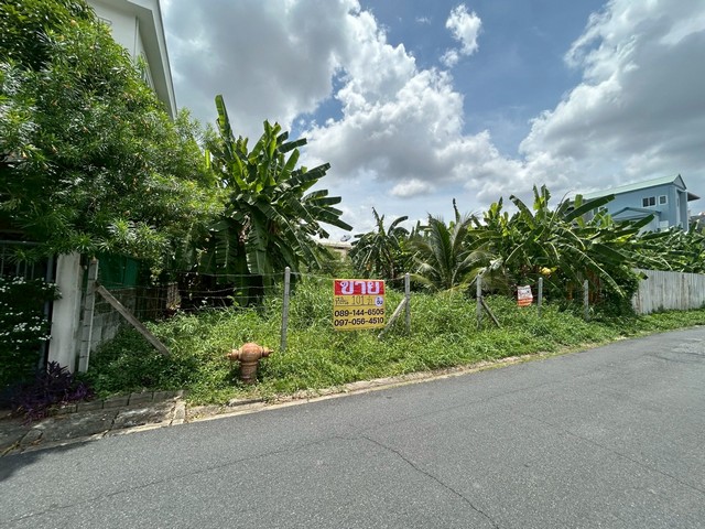 ขายที่ดิน 101 ตารางวา ซอยลาดพร้าว 124 แยก 1
