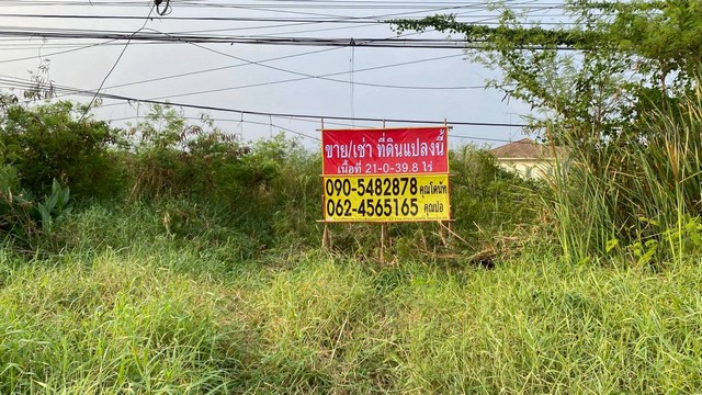 ขายที่ดินศักยภาพสูง 21 – 0 -39.8 ไร่ หนองจอก ติดถนนสุวินทวงศ์