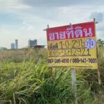 ขายด่วน ที่ดินถมแล้ว 1 ไร่ 29 ตร.วา บางแก้ว บางพลี ใกล้เมกาบางนา