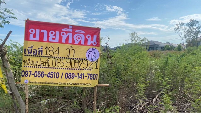 ขายที่ดินบางแก้ว ราคาถูก 192 ตารางวา ใกล้เมกะบางนา สวยพร้อมพัฒ