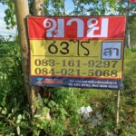 ขายที่ดิน ติดถนนสายหลัก 63-0-0 ไร่ บ้านวังเป็ด บางระกำ พิษณุโล
