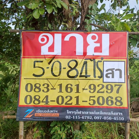 ขายที่นาสวย ติดคลองชนประทาน 5-0-84 ไร่ บ้านท่าตะเคียน เมืองพิษณ