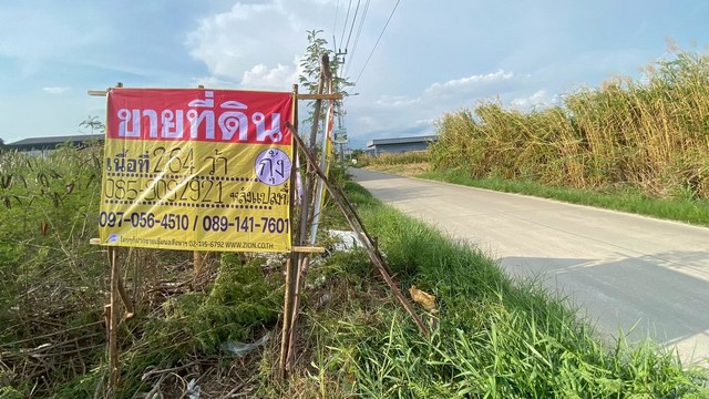 ขายที่ดิน 264 ตร.วา ทำเลดีในย่านชุมชนบางแก้ว บางพลี ใกล้เมกะบางนา