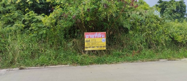 ขายด่วน! ที่ดินแปลงใหญ่ 61 ไร่ ทำเลทองย่านประชาอุทิศ 76 คลองสวน