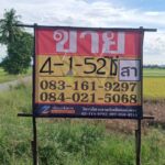 ขายที่ดิน 4-1-52 ไร่ ติดคลองชนประทาน บ้านท่าตะเคียน เมืองพิษณ