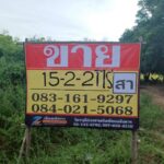ขายที่นาสวย 15-2-21 ไร่ ติดคลองชนประทาน บ้านท่าตะเคียน เมืองพิษ