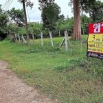 ขายที่ดิน 310 วา โพธ์ชัย เมืองหนองคาย ราคาถูก ทำเลดี ใจกลางเมือ