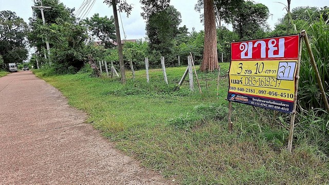 ขายที่ดิน 310 วา โพธ์ชัย เมืองหนองคาย ราคาถูก ทำเลดี ใจกลางเมือ