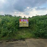 ขายที่ดิน‭ ‬ซอยพุทธมณฑลสาย 2 ซอย 12 เนื้อที่ 208 ตารางวา