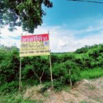 ขายที่ดินทำเลทอง 47 ไร่ 26 ตร.วา. วังม้า ลาดยาว นครสวรรค์
