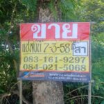ขายที่ดินราคาถูก 7-3-58 ไร่ บ้านเนินมะครึด เมืองพิษณุโลก