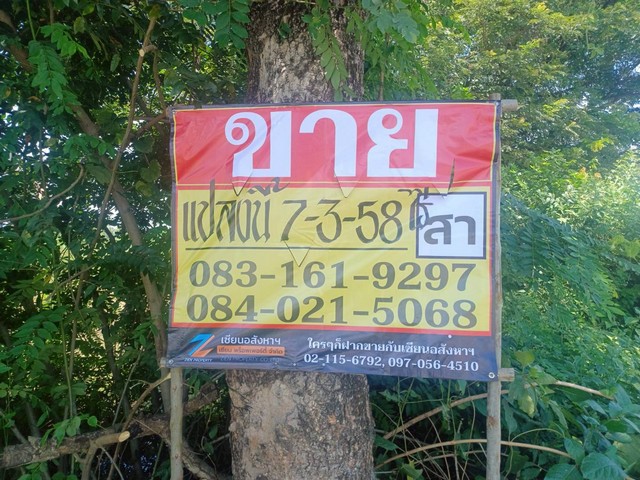 ขายที่ดินราคาถูก 7-3-58 ไร่ บ้านเนินมะครึด เมืองพิษณุโลก