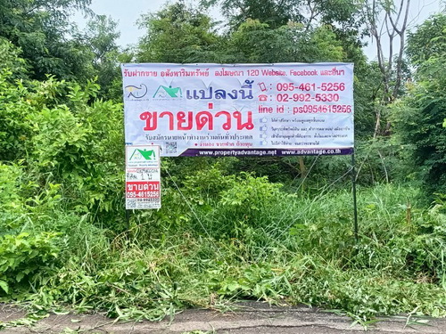 ที่ดินเปล่า 1 ไร่ ต.เมืองปัก อ.ปักธงชัย จ.นครราชสีมา