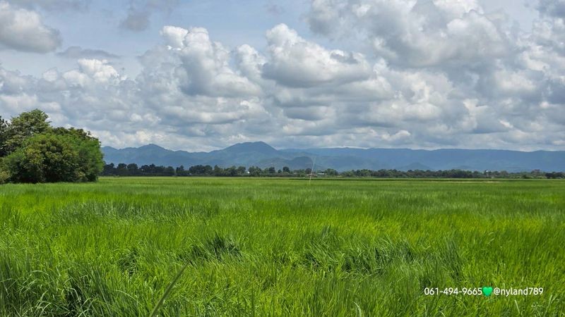 ขายที่สวยติดถนนเลียบคลอง 2 ด้าน ต.ท่าทราย อ.เมืองนครนายก