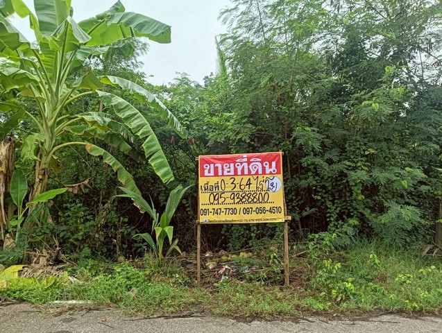 ขายที่ดิน 364 ตร.วา. ปลายโพงพาง อัมพวา สมุทรสงคราม