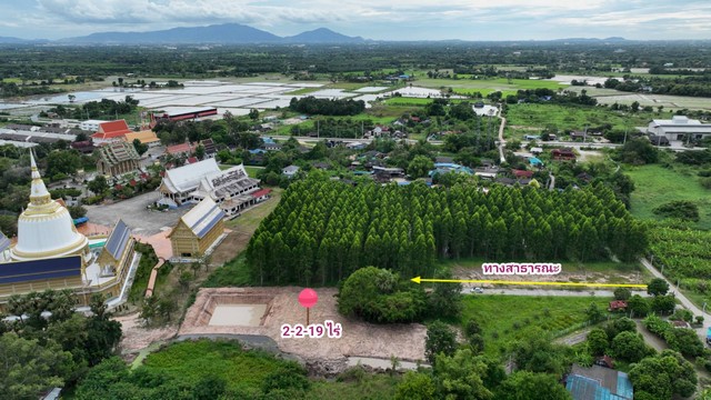 ขายที่ดิน ต.นามะตูม พนัสนิคม ชลบุรี 2-2-19 ไร่ ยกแปลง 3 ล้านบาท