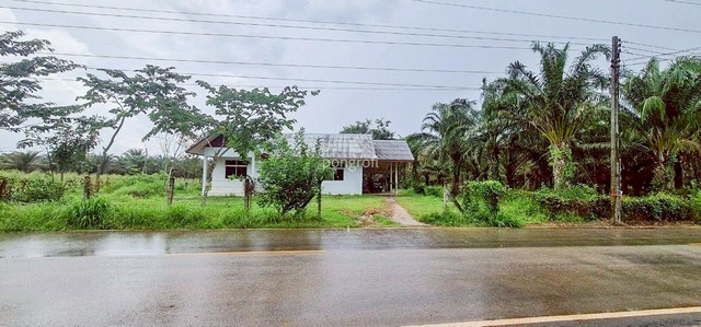 ที่ดิน 54 ไร่ 139 ตร.ว มีครบ! สวนยาง–สวนปาล์ม จ.สระแก้ว