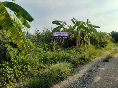 ขายที่ดินเปล่าบางนา ใกล้เมกาบางนา ผังเมืองสีส้ม เหมาะลงทุน-ปลูกบ้