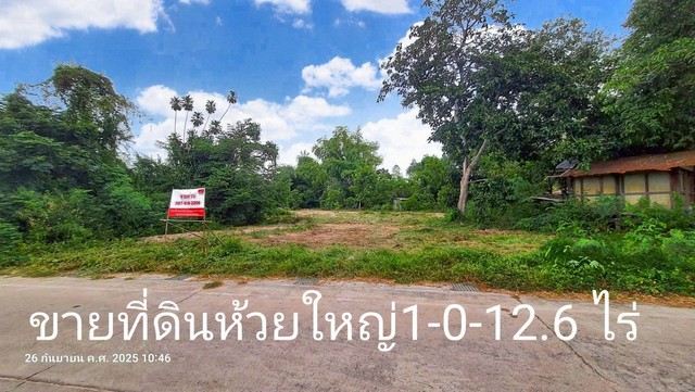 ขายที่ดิน 1-0-12.6 ไร่ ทำเลห้วยใหญ่