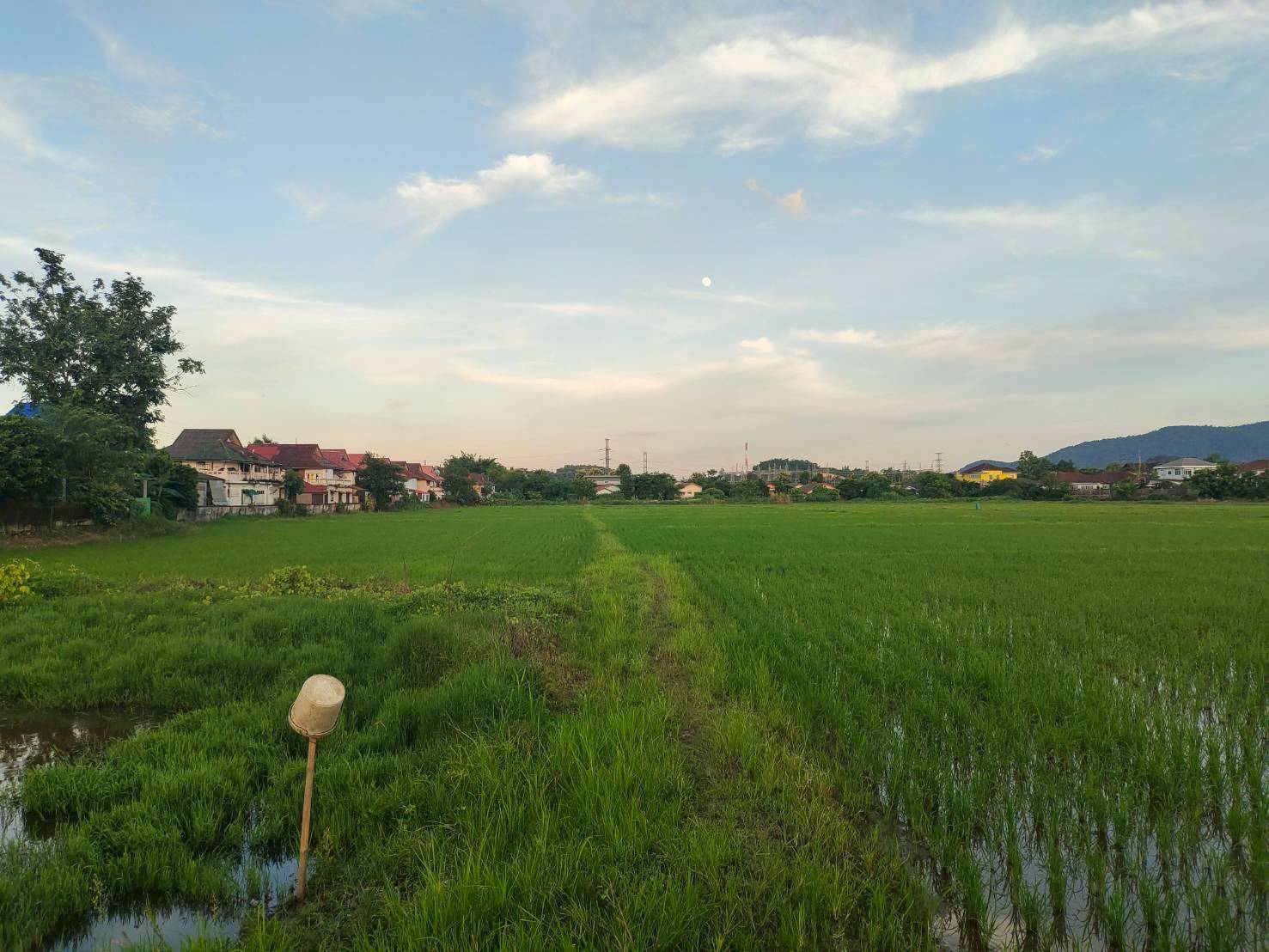 ขายที่ดินเปล่าในแม่กรณ์, เชียงราย! 14ไร่ และ 16 ไร่