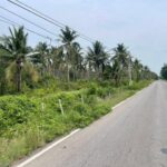 ขายที่ดินหนองเสือปทุมธานี เนื้อที่ 147-0-20 ไร่