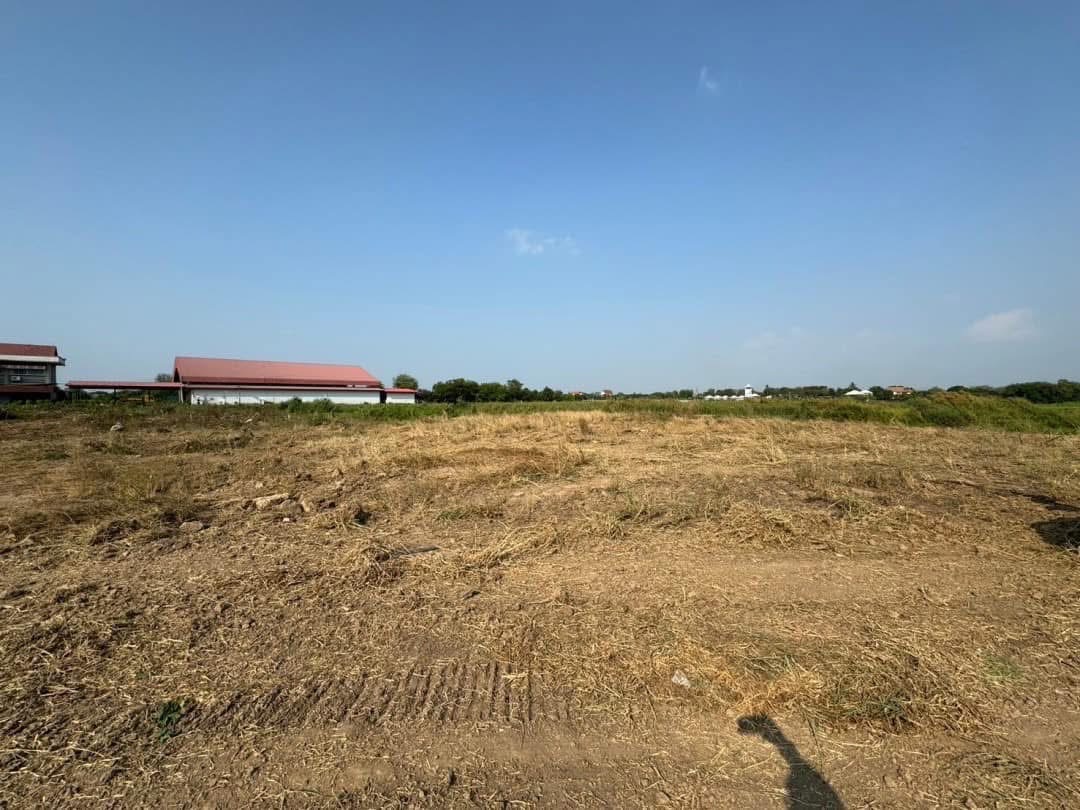ขายที่ดินเปล่า ทำเลดี ใกล้ชุมชน ติดถนนลาดยาง อำเภอเมือง จังหวัดอ่