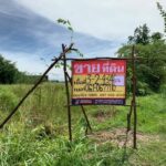 ขายที่ดิน 3-2-43 ไร่ หลังโรงพยาบาลเอกชนกำแพงเพชร ในเมืองกำแพงเพ