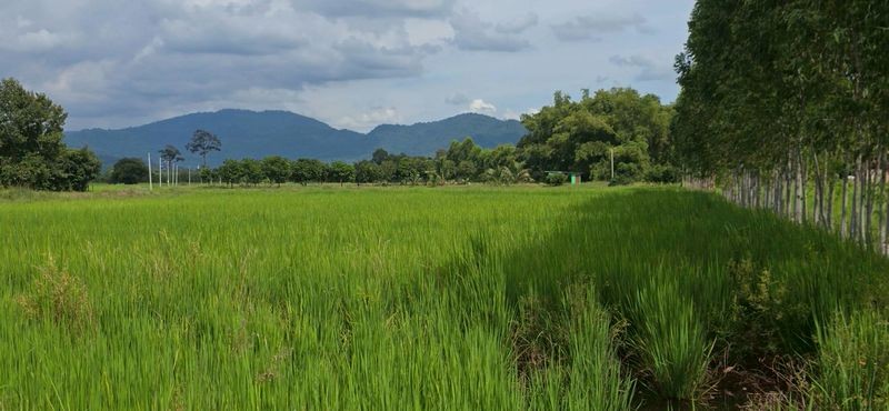 ขายที่ดินสวย ติดถนนลาดยาง วิวภูเขา ต.เขาเพิ่ม อ.บ้านนา จ.นครนายก