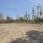 ที่ดินชำผักแพว แก่งคอย สระบุรี ผ่อนจ่ายได้ 1 ปี ไม่มีดอกเบี้ย