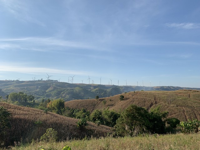 ขายด่วน ที่ดินเขาค้อ วิวกังหันลม วิวพาโนรามา 360° จ.เพชรบูรณ์