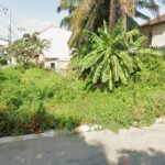 ทำเลทองนนทบุรี! ที่ดินสวย 61.6 ตร.วา พร้อมสร้างบ้าน