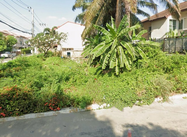 ทำเลทองนนทบุรี! ที่ดินสวย 61.6 ตร.วา พร้อมสร้างบ้าน