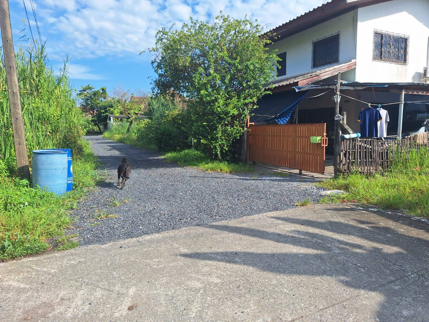 ขายที่ดิน 62 ตรว. ติดถนนใกล้หมู่บ้านโดมทอง อ.เมืองปทุมธานี จ.ปทุม