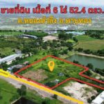 ขายที่ดินหนองตำลึงพานทองชลบุรี เนื้อที่ 6ไร่ 52.4 ตรว.