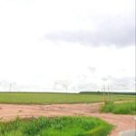 ขายที่ดินปลวกแดงระยอง ขายที่ดิน 1,073 ไร่