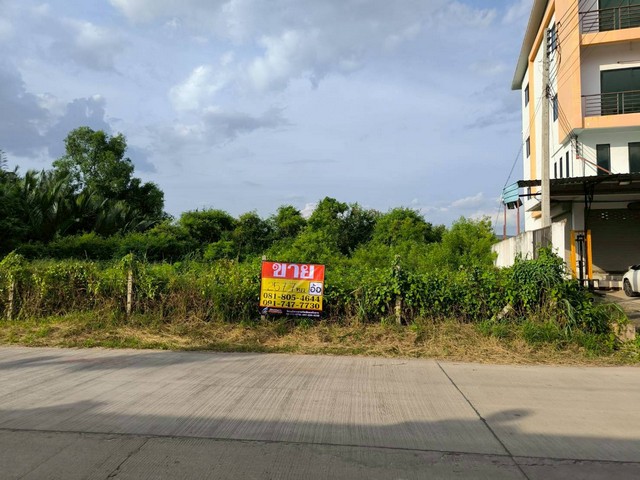 ขายที่ดิน 257 ตร.วา ต. พันท้ายนรสิงห์ ใกล้โรงเรียนอัสสัมชัญสมุทร