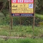 ขายที่ดินสวนมะพร้าว 19 ไร่ ถนนดำ บ้านแพ้ว ซอยทุ่งเศรษฐี สมุทรส