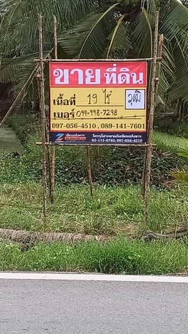 ขายที่ดินสวนมะพร้าว 19 ไร่ ถนนดำ บ้านแพ้ว ซอยทุ่งเศรษฐี สมุทรส